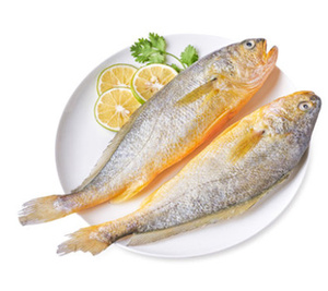 黄鱼海鱼新鲜冷冻